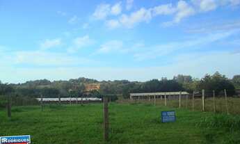 Imagem: Terreno com 3 Dormitorio(s) localizado(a)