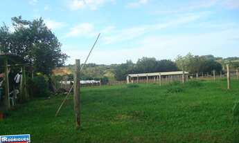 Imagem 2: Terreno com 3 Dormitorio(s) localizado(a) no bairro Poço Comprido em Cachoeira do Sul / R