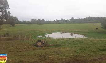 Imagem 4: Chácara com 2 Dormitorio(s) localizado(a) no bairro em Cachoeira do Sul / Rio Grande do