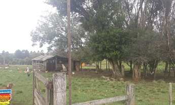 Imagem 5: Chácara com 2 Dormitorio(s) localizado(a) no bairro em Cachoeira do Sul / Rio Grande do