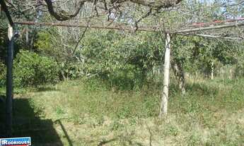 Imagem 2: Casa com 4 Dormitorio(s) localizado(a) no bairro Noemia em Cachoeira do Sul / Rio Grande