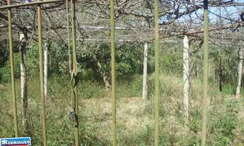 Imagem 3: Casa com 4 Dormitorio(s) localizado(a) no bairro Noemia em Cachoeira do Sul / Rio Grande