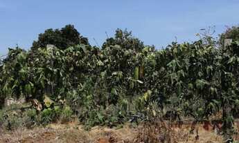 Imagem: Casa com 2 Dormitorio(s) localizado(a) no