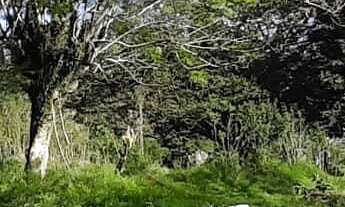 Imagem: Terreno com 2 Dormitorio(s) localizado(a)