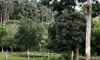 Imagem: Chácara Imóvel Rural