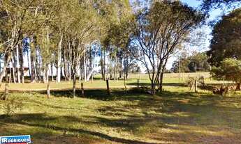 Imagem 5: Terreno com 3 Dormitorio(s) localizado(a) no bairro Parque Xangri-lá em Cachoeira do Sul