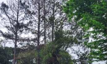 Imagem 2: Terreno localizado(a) no bairro Ana Rech em Caxias do Sul / Rio Grande do Sul Ref.:164391