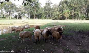 Imagem 4: SITIO NA CORDILHEIRA