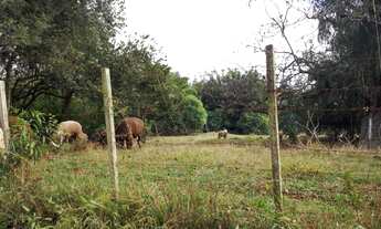 Imagem: TERRENO, 20M² de Área Total