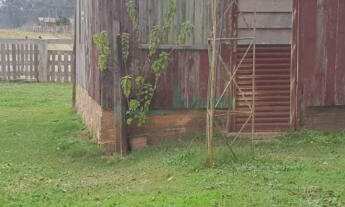 Imagem 6: Chácara próximo a cidade