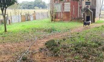 Imagem 7: Chácara próximo a cidade