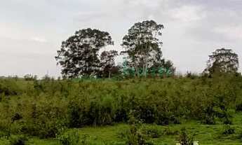 Imagem 2: Terreno , 1800M² de Área Total