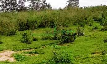 Imagem 3: Terreno , 1800M² de Área Total