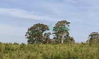 Imagem 5: Terreno , 1800M² de Área Total