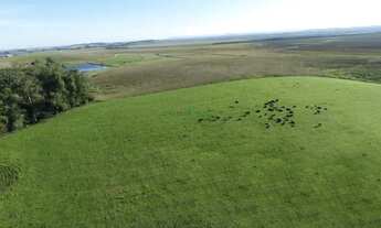 Imagem: Fazenda Alto Padrão