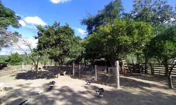 Imagem: EXCELENTE CHÁCARA, EXCELENTE LOCALIZAÇÃO!