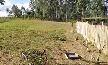 Imagem 6: EXCELENTE CHÁCARA, EXCELENTE LOCALIZAÇÃO!