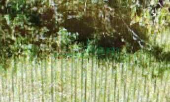 Imagem 2: Excelente terreno