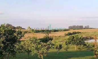 Imagem 5: Chácara , 20M² de Área Construída