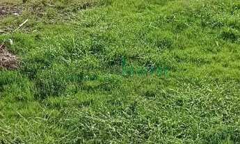 Imagem 7: SALA COMERCIAL, 20M² de Área Construída