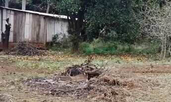 Imagem 7: Chácara , 3 dormitórios, 1 banheiros, 3 vagas na garagem, 20M² de Área Construída