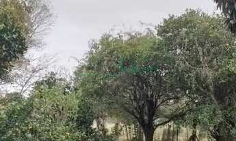 Imagem 6: Chácara , 3 dormitórios, 1 banheiros, 3 vagas na garagem, 20M² de Área Construída