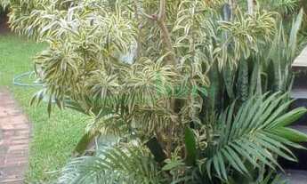 Imagem 6: CASA, 20M² de Área Construída