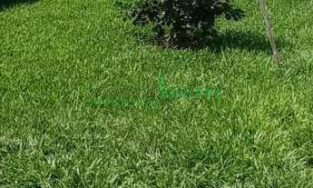 Imagem 7: CASA, 20M² de Área Construída