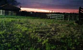 Imagem: CASA COM AREA DE TERRA