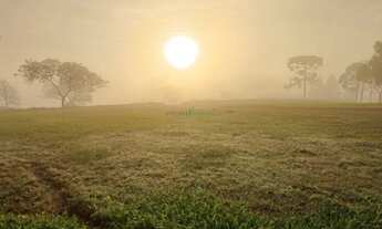 Imagem 2: CASA COM AREA DE TERRA