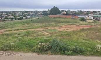 Imagem 4: Excelentes terrenos na Quinta