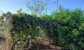 Imagem 3: Excelente imóvel na Vila Vargas