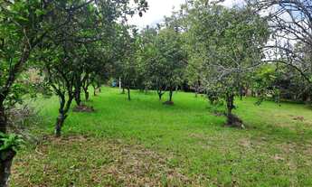 Imagem: Terreno Amplo na Volta da Charqueada