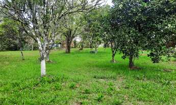 Imagem 2: Terreno Amplo na Volta da Charqueada