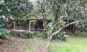 Imagem 3: Terreno Amplo na Volta da Charqueada