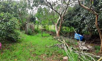 Imagem 4: Terreno Amplo na Volta da Charqueada