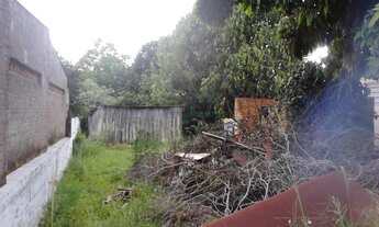 Imagem 6: Terreno com 3 Dormitorio(s) localizado(a) no bairro Carvalho em Cachoeira do Sul / Rio Gr