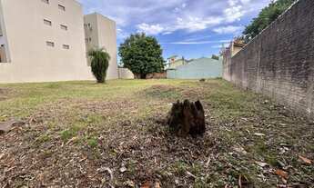 Imagem 3: Terreno Amplo, 20M² de Área Total