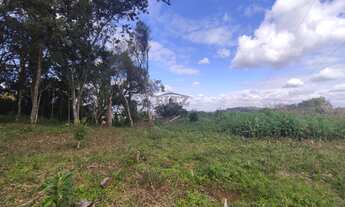 Imagem 7: 5,9ha próximo da BR116 e vista para o Vale no Rincão Gaúcho