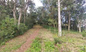 Imagem 3: 5,9ha próximo da BR116 e vista para o Vale no Rincão Gaúcho