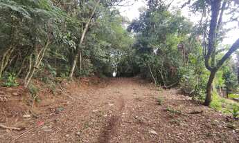 Imagem 2: 5,9ha próximo da BR116 e vista para o Vale no Rincão Gaúcho