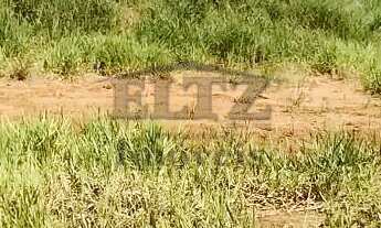 Imagem 6: Chácara com ótima localização