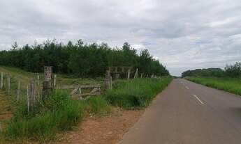 Imagem: Área de Terra com 3 Dormitorio(s) localizado(a)