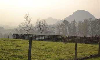 Imagem 4: Chácara / Sítio com 2 Dormitorio(s) localizado(a) no bairro Capela de Santana em Capela d