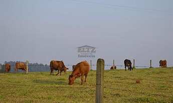 Imagem 6: Chácara / Sítio com 2 Dormitorio(s) localizado(a) no bairro Capela de Santana em Capela d