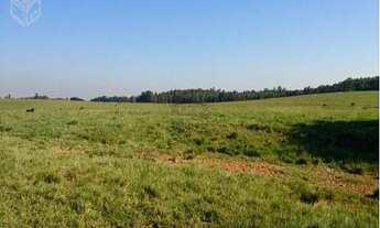Imagem 7: Fazenda com 4 Dormitorio(s) localizado(a) no bairro Capela de Santana em Capela de Santan
