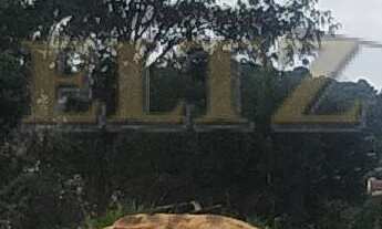 Imagem 5: Terreno plano com vista aos fundos