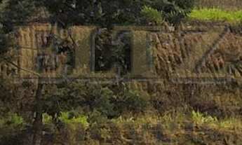 Imagem 4: Terreno plano com vista aos fundos