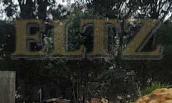 Imagem 1: Terreno plano com vista aos fundos