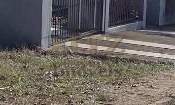 Imagem 4: Terreno Grande, 438m² B. União